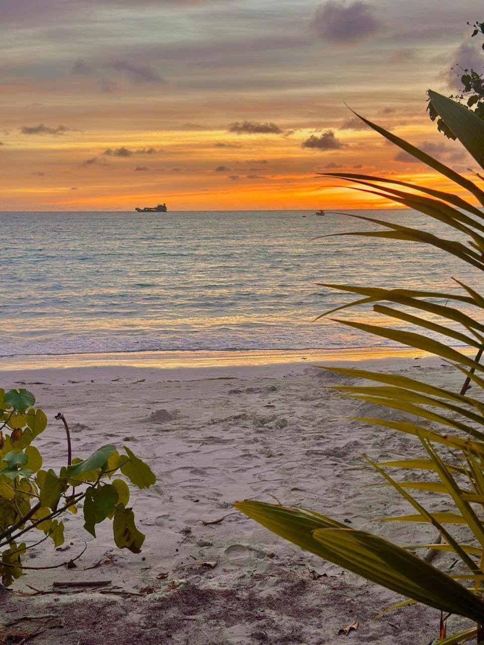 Mokara Holiday Apartment Anse Royale Bagian luar foto