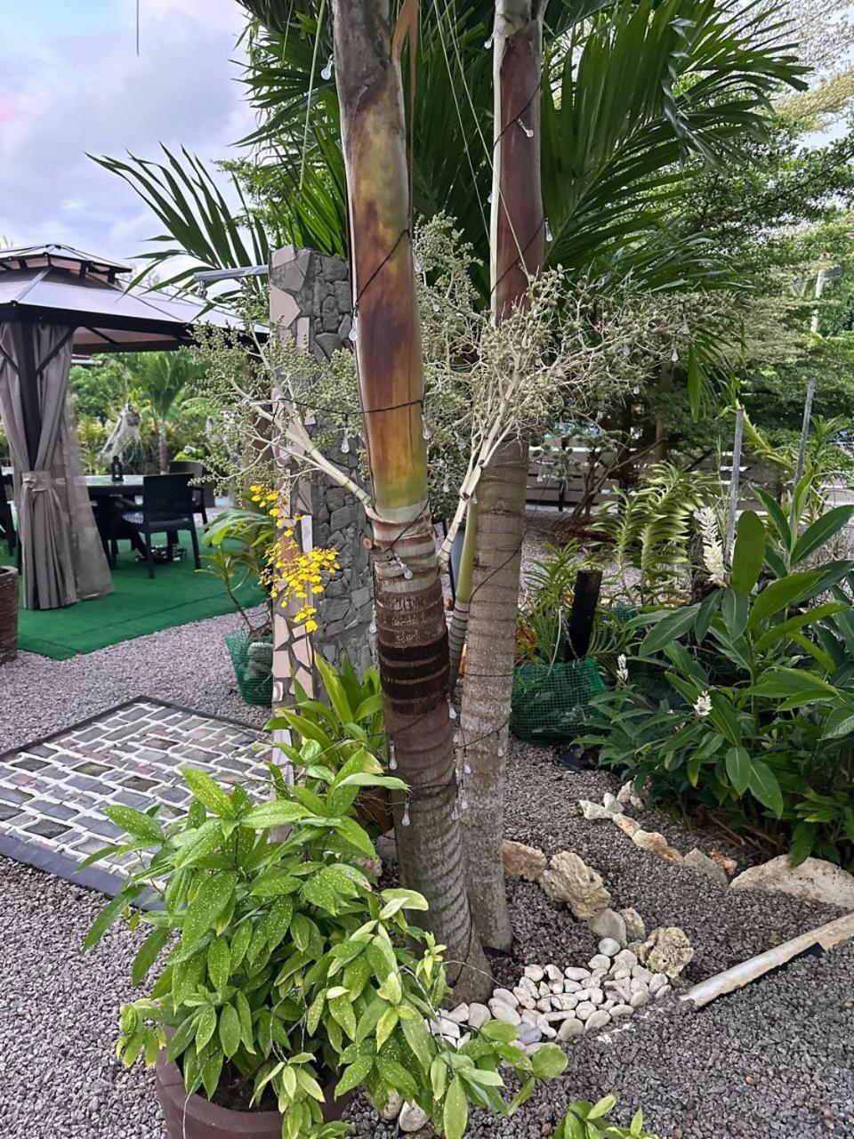 Mokara Holiday Apartment Anse Royale Bagian luar foto